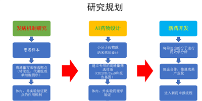 小分子化合物設(shè)計