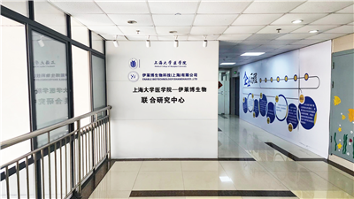 整體課題實驗